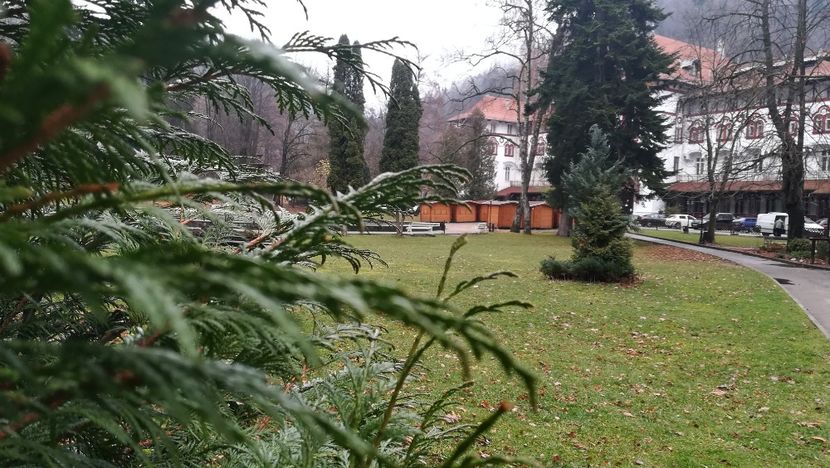  - 2017 SINAIA MIHNEA