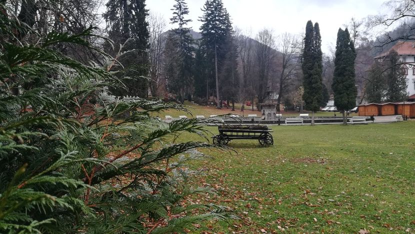  - 2017 SINAIA MIHNEA