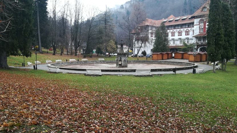  - 2017 SINAIA MIHNEA