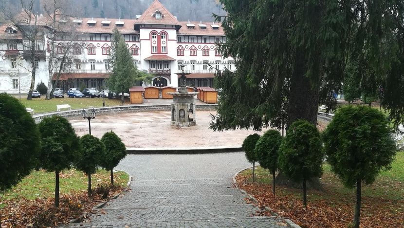  - 2017 SINAIA MIHNEA