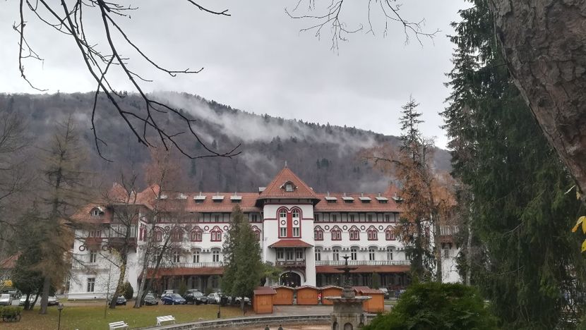  - 2017 SINAIA MIHNEA