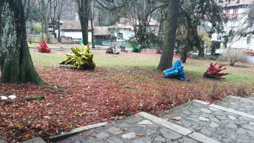  - 2017 SINAIA MIHNEA