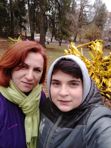  - 2017 SINAIA MIHNEA