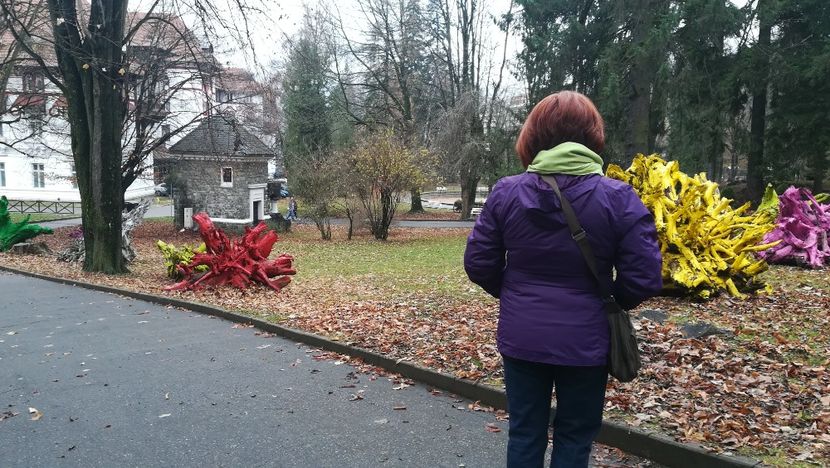  - 2017 SINAIA MIHNEA