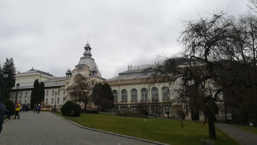  - 2017 SINAIA MIHNEA