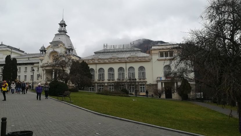  - 2017 SINAIA MIHNEA