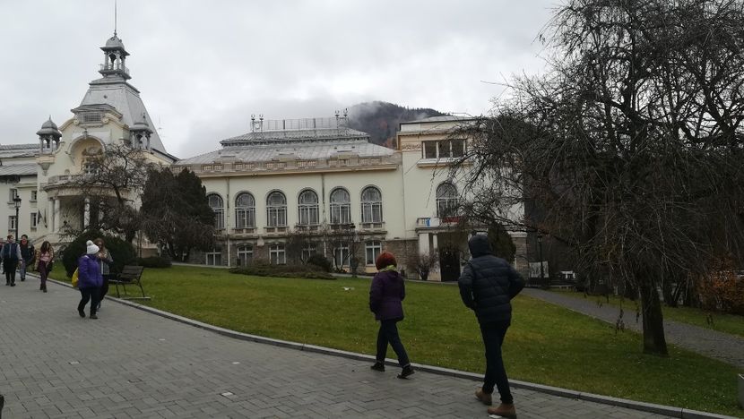  - 2017 SINAIA MIHNEA