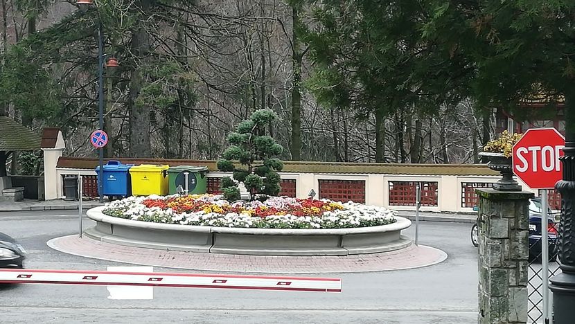  - 2017 SINAIA MIHNEA