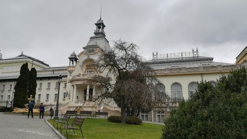  - 2017 SINAIA MIHNEA