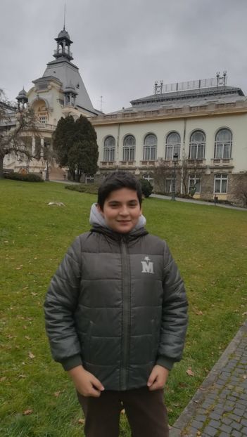  - 2017 SINAIA MIHNEA