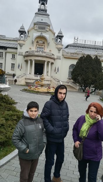  - 2017 SINAIA MIHNEA