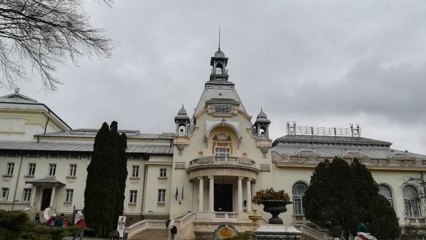  - 2017 SINAIA MIHNEA
