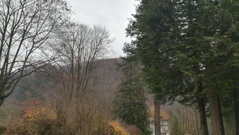  - 2017 SINAIA MIHNEA