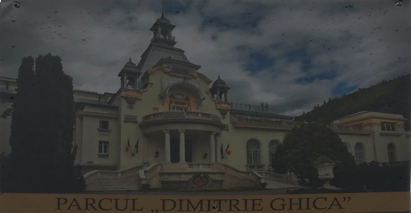  - 2017 SINAIA MIHNEA