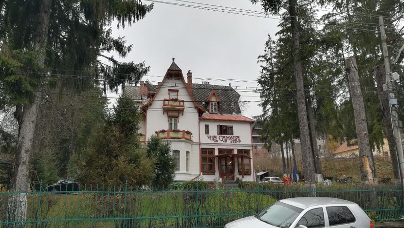  - 2017 SINAIA MIHNEA