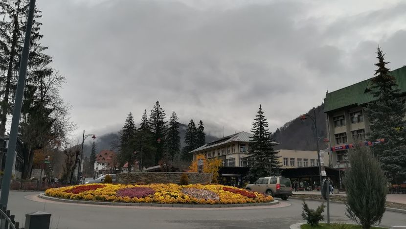  - 2017 SINAIA MIHNEA