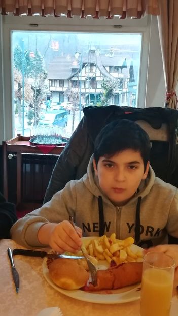  - 2017 SINAIA MIHNEA