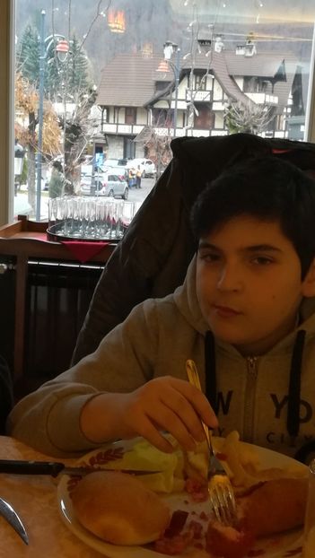  - 2017 SINAIA MIHNEA