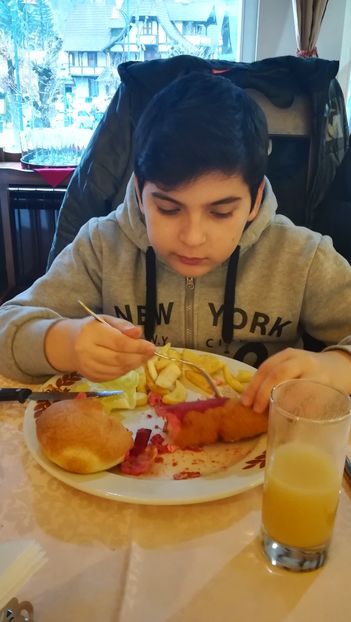  - 2017 SINAIA MIHNEA