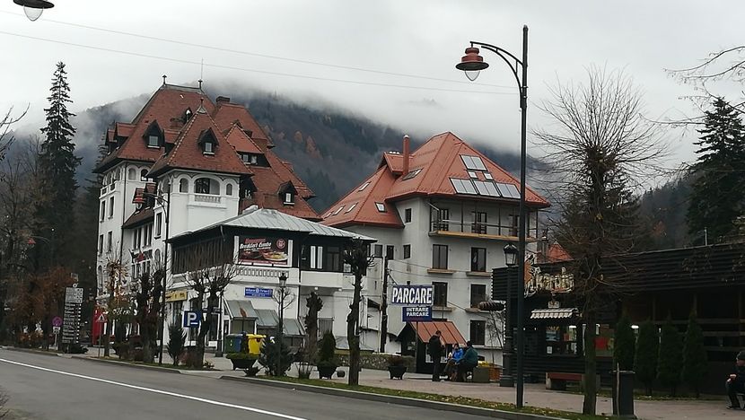  - 2017 SINAIA MIHNEA
