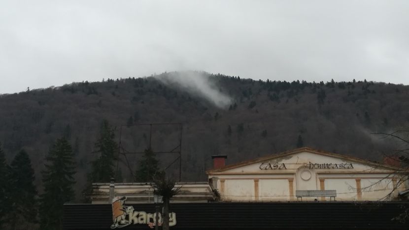  - 2017 SINAIA MIHNEA