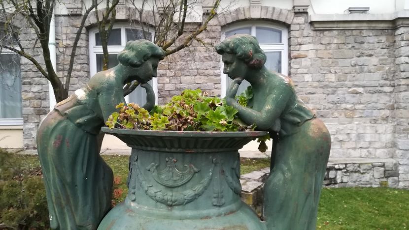  - 2017 SINAIA MIHNEA