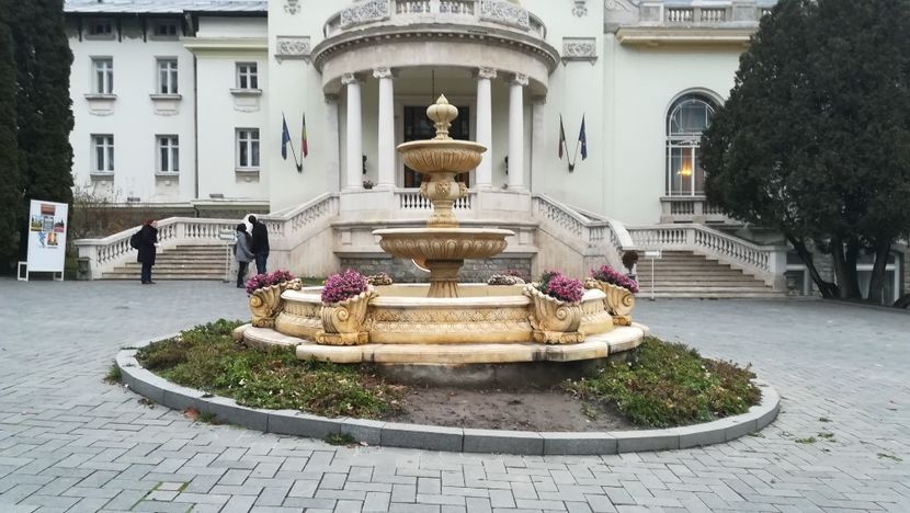  - 2017 SINAIA MIHNEA