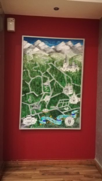  - 2017 SINAIA MIHNEA