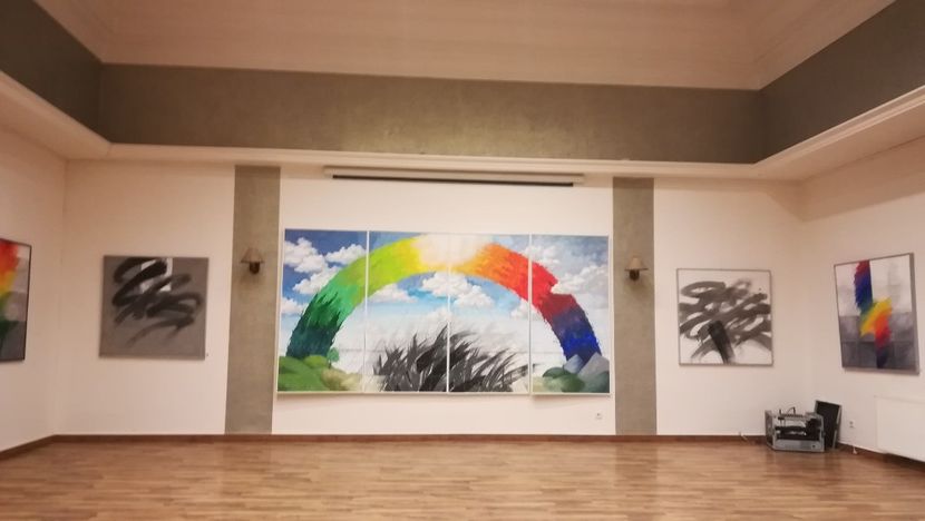  - 2017 SINAIA MIHNEA