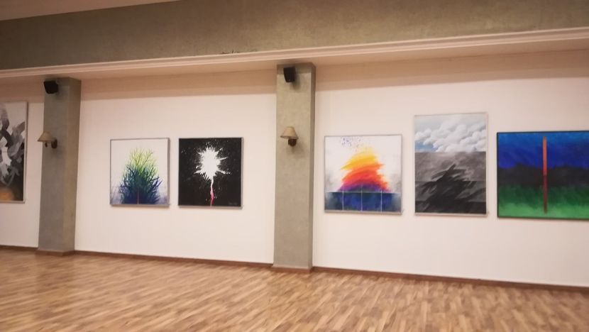  - 2017 SINAIA MIHNEA