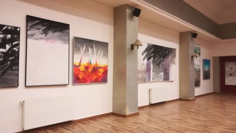  - 2017 SINAIA MIHNEA