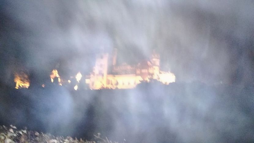  - 2017 SINAIA MIHNEA