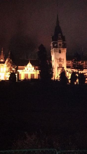  - 2017 SINAIA MIHNEA