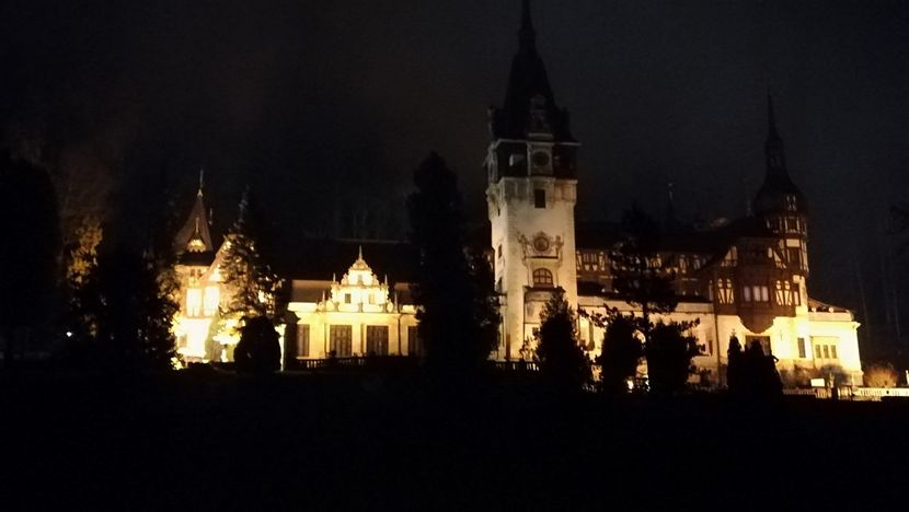  - 2017 SINAIA MIHNEA