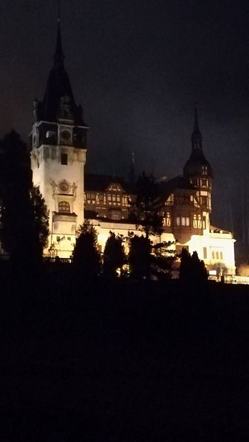  - 2017 SINAIA MIHNEA