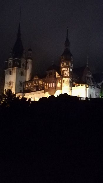  - 2017 SINAIA MIHNEA