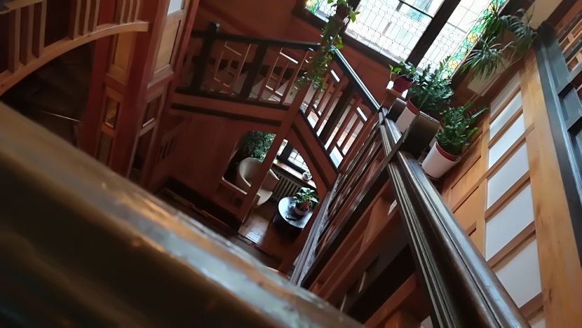  - 2017 SINAIA MIHNEA