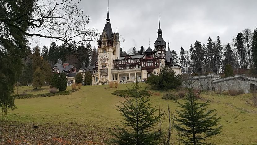  - 2017 SINAIA MIHNEA