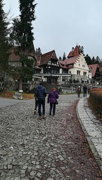  - 2017 SINAIA MIHNEA