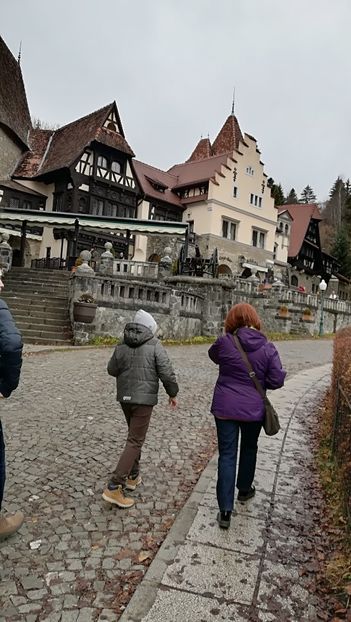  - 2017 SINAIA MIHNEA