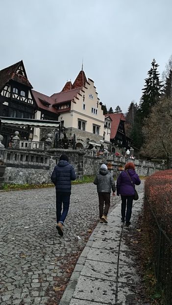  - 2017 SINAIA MIHNEA