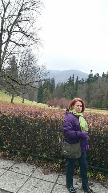  - 2017 SINAIA MIHNEA