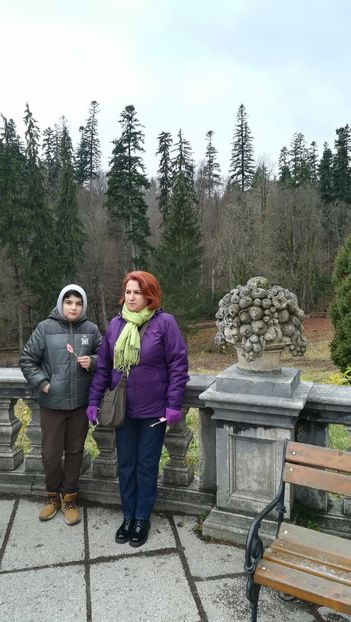  - 2017 SINAIA MIHNEA