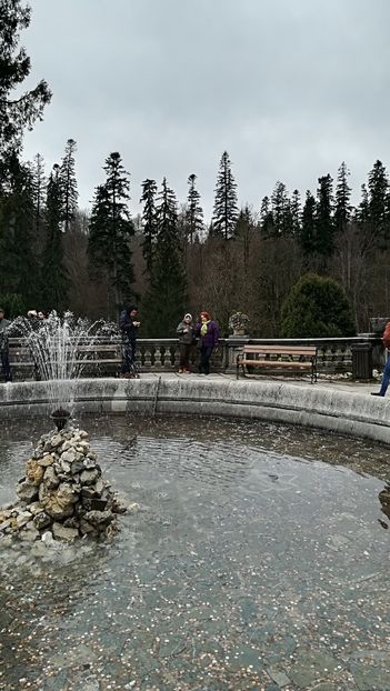  - 2017 SINAIA MIHNEA