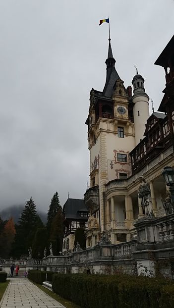  - 2017 SINAIA MIHNEA