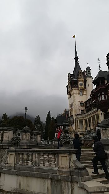  - 2017 SINAIA MIHNEA