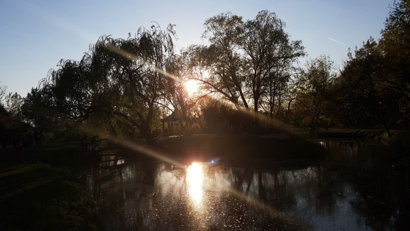  - 2017 TEL VLAD PODGORIA AVINCIA SI CASA ROMANEASCA