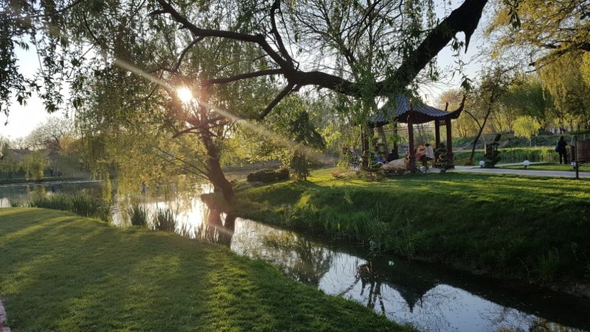  - 2017 TEL VLAD PODGORIA AVINCIA SI CASA ROMANEASCA