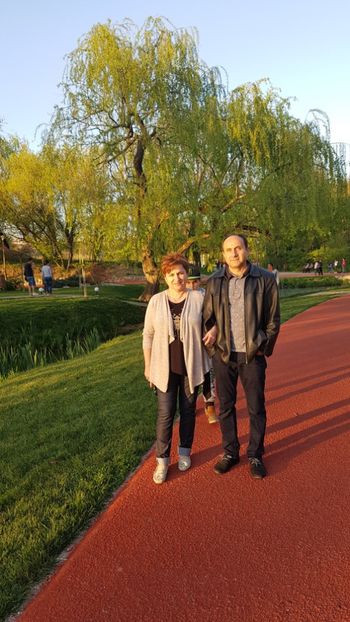  - 2017 TEL VLAD PODGORIA AVINCIA SI CASA ROMANEASCA