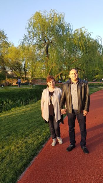  - 2017 TEL VLAD PODGORIA AVINCIA SI CASA ROMANEASCA